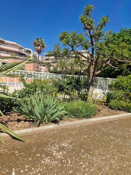 Appartement Vue Mer Sur Les Hauteurs De ניס מראה חיצוני תמונה